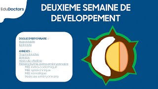 Deuxième semaine de développement embryonnaire  Embryologie générale [upl. by Labotsirhc]