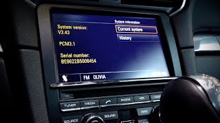 Porsche PCM31 system version information hidden menu [upl. by Pablo]