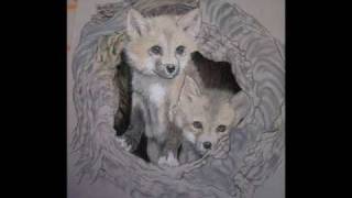 How to Paint Foxes in Pastel on Velour [upl. by Jorge]