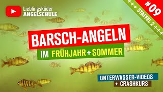 Barsch Angeln im Frühjahr  Sommer 🎣 Staffel 2 Folge 9 [upl. by Cathrine]