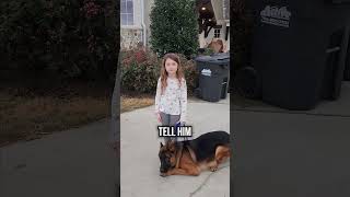 Will an Aggressive German Shepherd Listen to a 5 Year Old [upl. by Neelloj456]