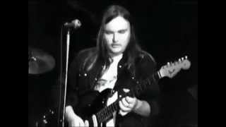 Lynyrd Skynyrd  complete concert from Winterland 1975 [upl. by Lseil]