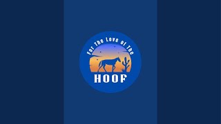 For the love of the hoof is live [upl. by Ardnasak]