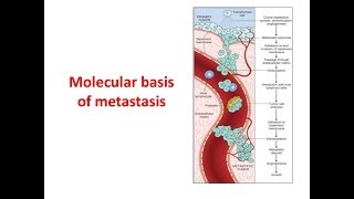 Metastasis Molecular Basis [upl. by Hallsy]