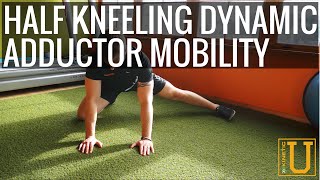 Half Kneeling Dynamic Adductor Mobility  Kinetic U Exercise Series [upl. by Bekelja]