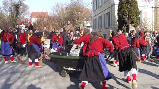 Fasnet Faschingumzug Narrenumzug Tettnang mädchen werden gefangen [upl. by Naivat475]