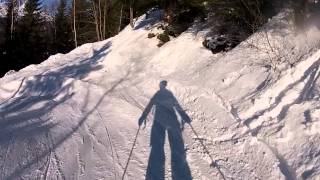 Skiing the path from Montenvers to Chamonix [upl. by Eiramannod688]