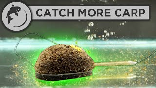 How To Fish The Method Feeder  5 Steps To Catch More Fish [upl. by Eiggep243]