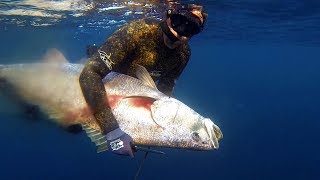 Spearfishing for Mulloway  Jew fish on offshore reefs and pinnacles [upl. by Nnylsor111]