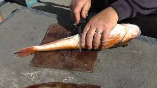 Preparing A Gurnard [upl. by Eidas]