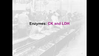 Enzymes CK and LDH  clinical chem lab tests review [upl. by Care]