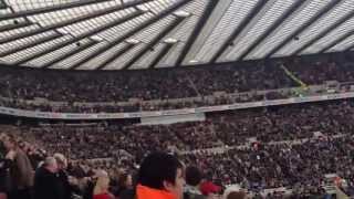 Local Hero  Newcastle United  St James Park [upl. by Griffiths664]