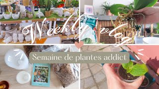 Une semaine de PLANTES ADDICT amp HAUL orchidznl  WEEKLY VLOG 🌿 [upl. by Eadie]