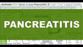 Pancreatitis Nursing KAMP Lecture Renal Endocrine Liver Diagram AST ALT Amylase Lipase [upl. by Puglia]