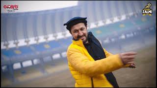 Peshawar Zalmi Launches Regional Anthem  Gobis Paints X Peshawar Zalmi [upl. by Eseekram]