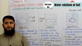 Hypotonic hypertonic and isotonic  Osmoregulation  Class 12 [upl. by Ona]