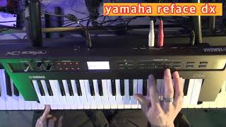 세컨건반  악기 시연  리뷰 FM 신스 살 돈 없어 그럼 이거사 야마하 리페이스 DX yamaha reface DX [upl. by Eselahs]