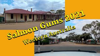 SALMON GUMS 2021 [upl. by Amalia755]