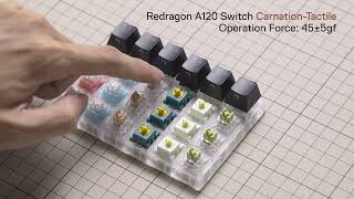 Redragon A120 Switches Sound Test [upl. by Enavi]