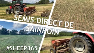 SEMIS de SAINFOIN derrière une AVOINE enrubanné plus suivi de la levé [upl. by Nirik61]