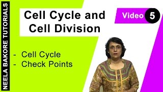 Cell Cycle amp Cell Division  NEET  Cell Cycle  Check Points  Neela Bakore Tutorials [upl. by Nnair]