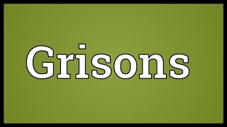 Grisons Meaning [upl. by Selrac]