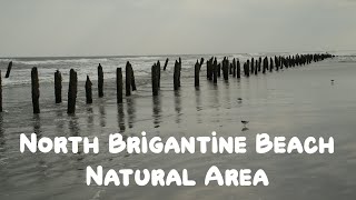 North Brigantine Beach Natural Area [upl. by Derej]