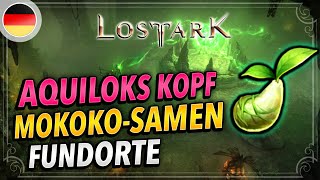 Rethramis  Aquiloks Kopf MOKOKO Samen  Alle 6 Fundorte erklärt  Lost Ark Deutsch Seeds Locations [upl. by Liborio]