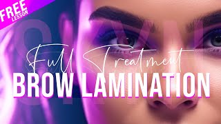 How I Laminate Brows  The Best Method Step by Step [upl. by Tyrrell]