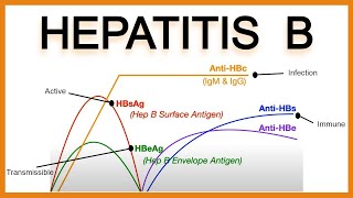 Serology 101 Testing for IgG and IgM antibodies [upl. by Annocahs830]