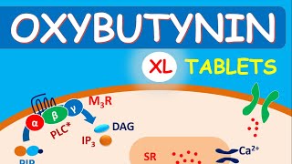 Oxybutynin 5 mg and 10 mg for Overactive Bladder [upl. by Grof]