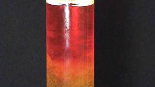 Home Experiment Stacking Liquids [upl. by Donnell]