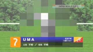 JAPAN WORLD CUP 3 出走馬紹介 UMAウーマ [upl. by Hairahs131]