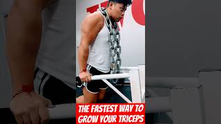 Why Are Experts Raving About Weighted Dips triceps tricepsworkout fitness [upl. by Kenton]