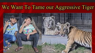 We Want To Tame our Aggressive Tiger  Abdul Hadi  vlog viral [upl. by Fitzsimmons600]