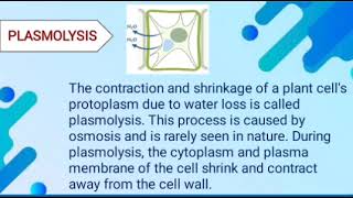 plasmolysis process  what is plasmolysis process  define plasmolysis process [upl. by Seni]