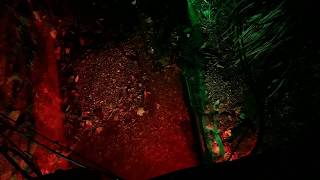 SHANKLIN CHINE  AT NIGHT  VLOG 1080p tour OF THE GARDENS 2019 [upl. by Eedyaj]