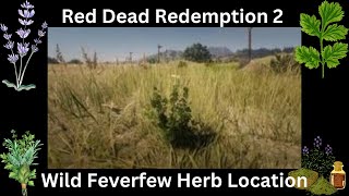 Red Dead Redemption 2 Wild Feverfew Herb Location PS5 [upl. by Avevoneg29]