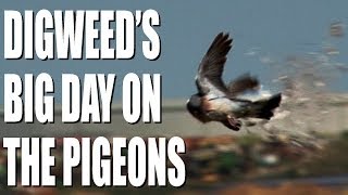 George Digweeds big day on the pigeons [upl. by Ttemme]