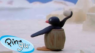 Pingus Snowball Fight 🐧  Pingu  Official Channel  Cartoons For Kids [upl. by Mercuri173]