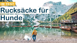 Hunderucksack Rucksack für Hunde 10kg im Test Kurgo vs Dog Carrier [upl. by Rambow]