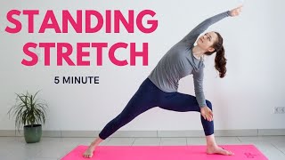 5 min STANDING STRETCH  Full Body Yoga Stretch  Yoga without mat [upl. by Nitsud25]