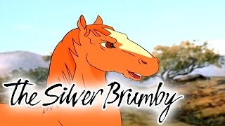 The Silver Brumby 114  Spring HD  Full Episode [upl. by Zackariah]