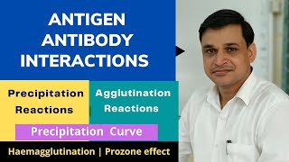 What are antigen antibody interactions  Precipitation and Agglutination reactions [upl. by Clark]