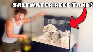 I Bought NEW SALTWATER Aquariums for My FISH ROOM [upl. by Leanard]