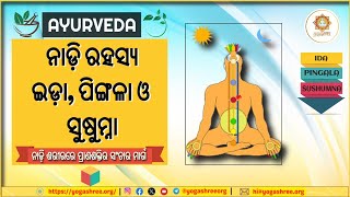 ଇଡ଼ା ପିଙ୍ଗଳା ସୁଷୁମ୍ନା ନାଡ଼ି ରହସ୍ୟ  Ida Pingala Sushumna Nadi Explained  Yogashree ▶ [upl. by Mcknight535]