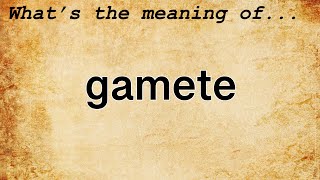 Gamete Meaning  Definition of Gamete [upl. by Adirehs]