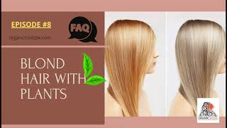 Shades Of Blond  With Natural Plants  Hair Dye  Henna Indigo amp Cassia  Episode 8  FAQ [upl. by Sielen]