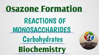 Test for Carbohydrates Proteins and Fats  MeitY OLabs [upl. by Aelat]