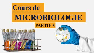 cours de microbiologie partie 5  la taxonomie bactérienne  nomenclature des microorganismes [upl. by Poock]